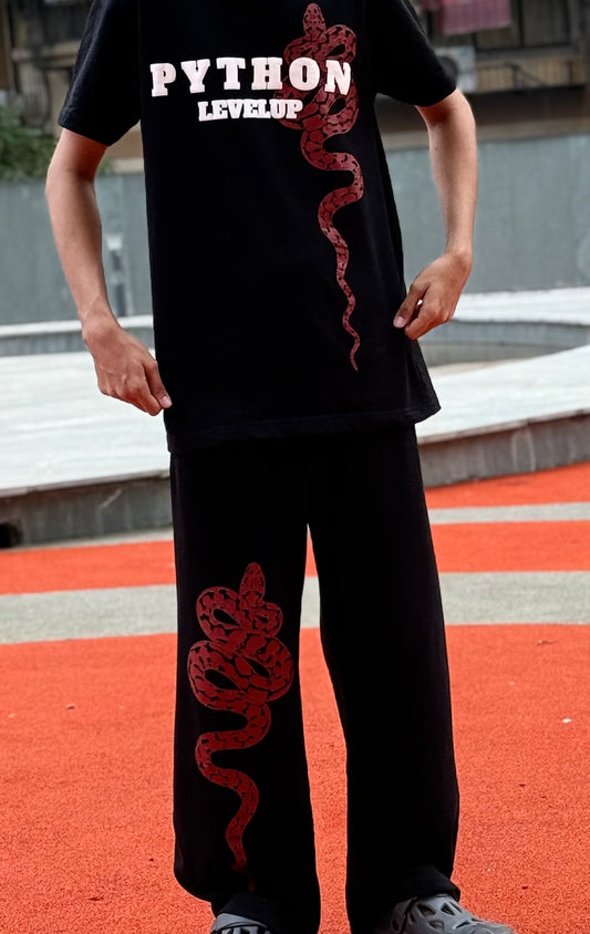 Python collection T-shirt trackpant set